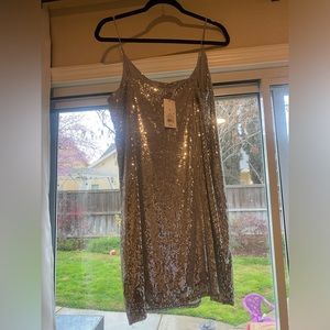 Silver Sparkly Mini Dress